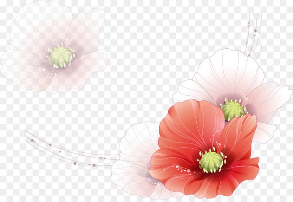 Нежный цветок