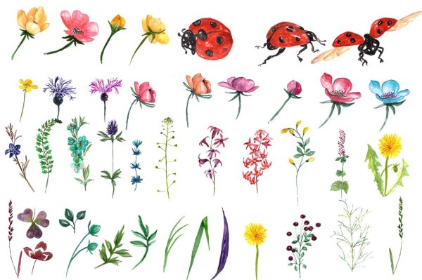 Стилизация полевых цветов