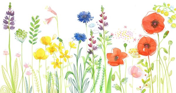 Цветы акварелью для детей