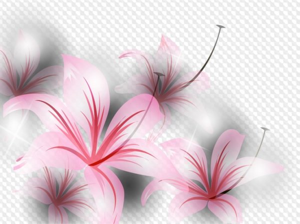 Прозрачные цветы