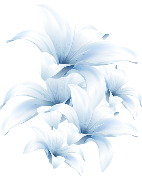 Розовые цветы на прозрачном фоне