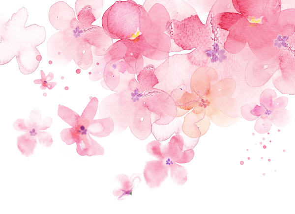 Цветы на прозрачном фоне