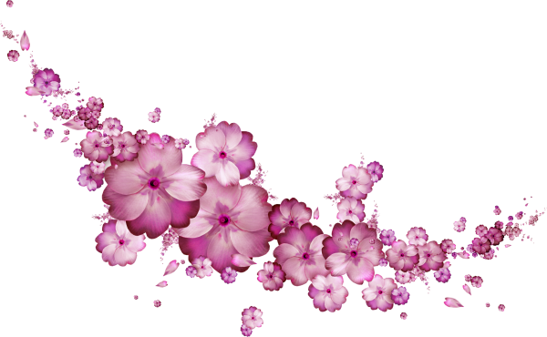 Полупрозрачные нежные цветы