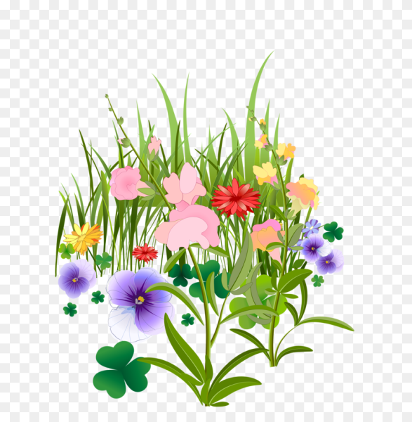 Полевые цветы на прозрачном фоне