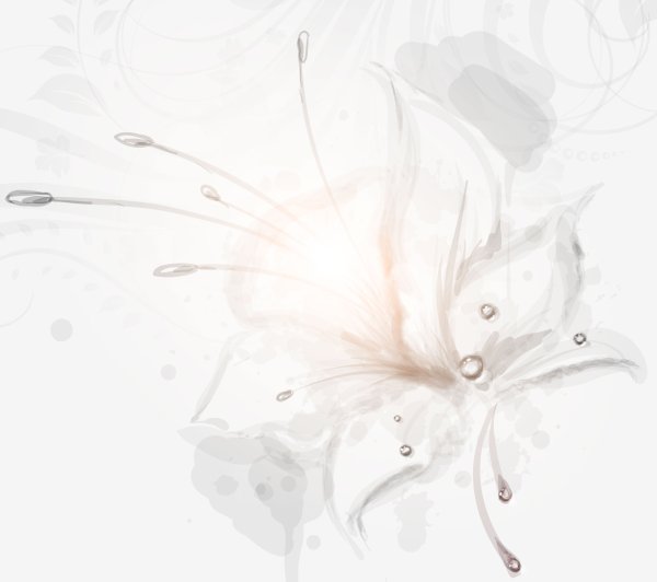 Цветы на прозрачном фоне