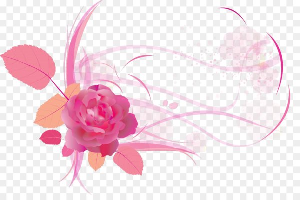 Орхидея белая