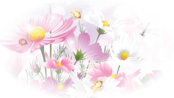 Полупрозрачные фиолетовые цветы