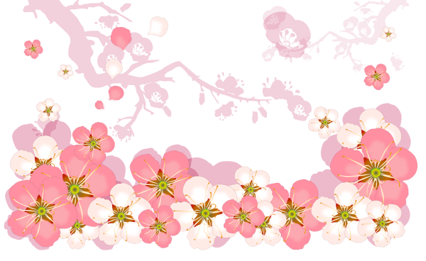 Цветы на белом фоне для детей