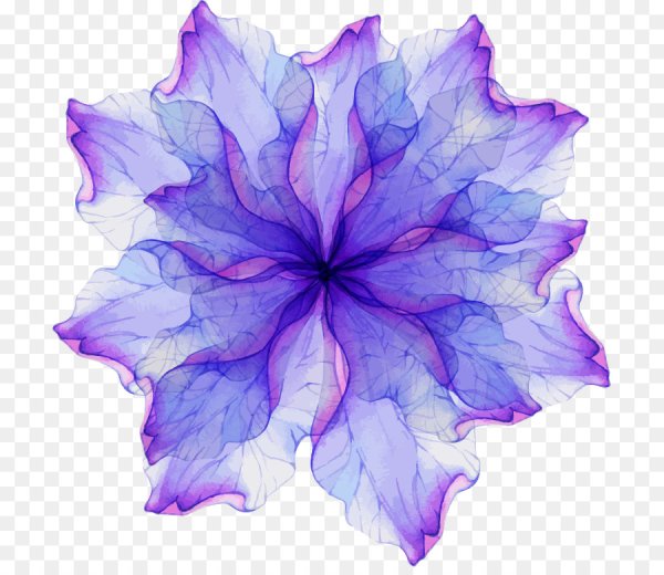 Маленькие цветы