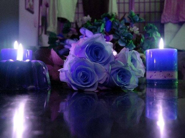 Номер для новобрачных