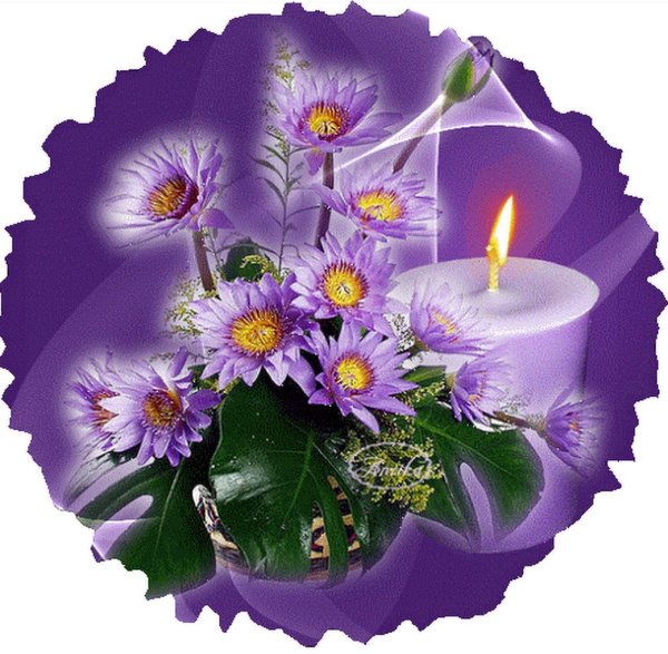 Цветы нежных снов