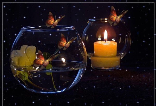 Доброго вечера и спокойной ночи