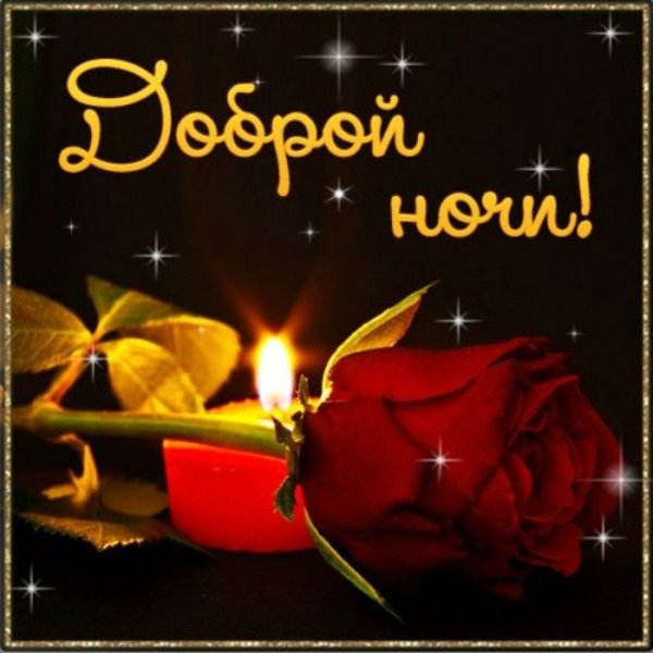 Прекрасного вечера и доброй ночи
