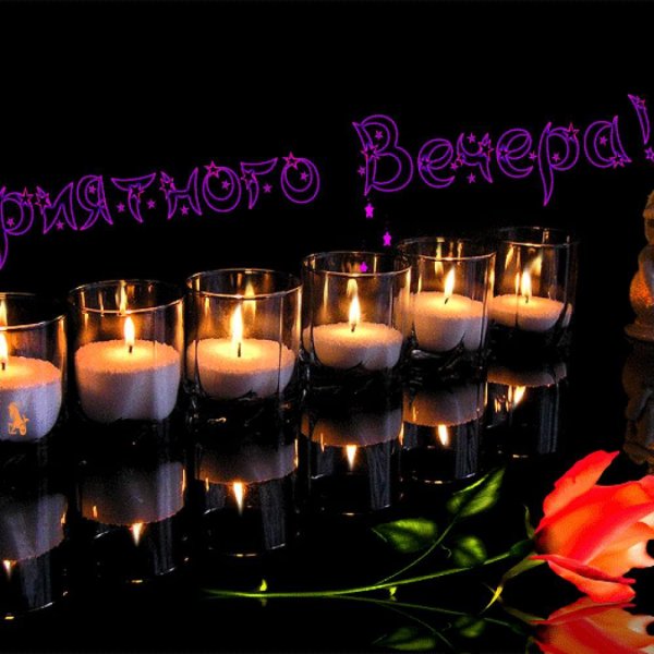 Розы добрый вечер для тебя