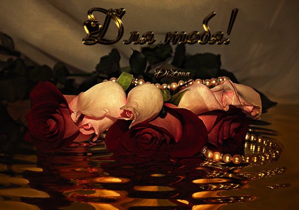 Приятного вечера