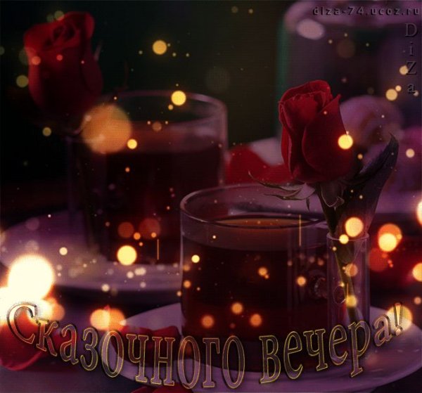 Вечерние цветы