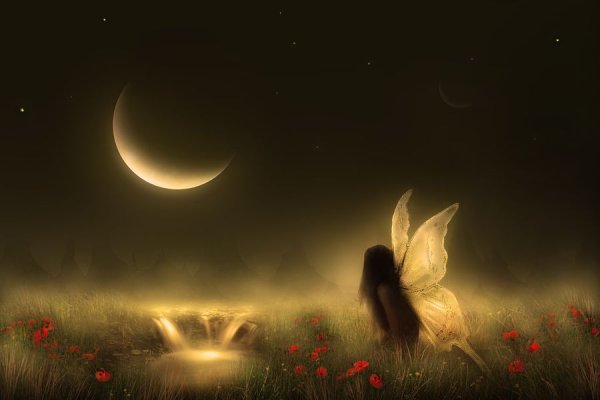 Цветы вечер