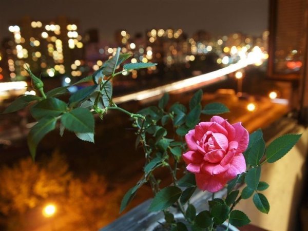 Добрый вечер