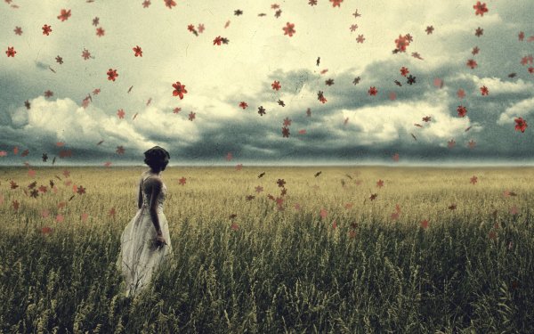 Дерево спокойствия