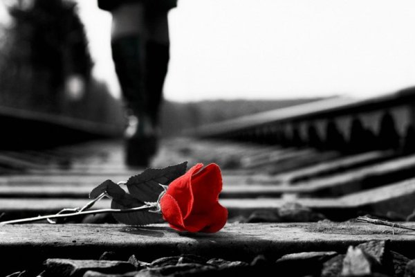 Девушка с цветком чб