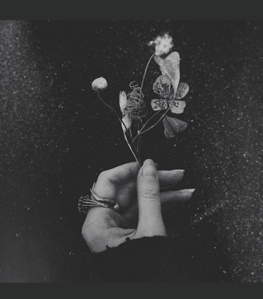 Brooke Shaden сюрреализм фотохудожник