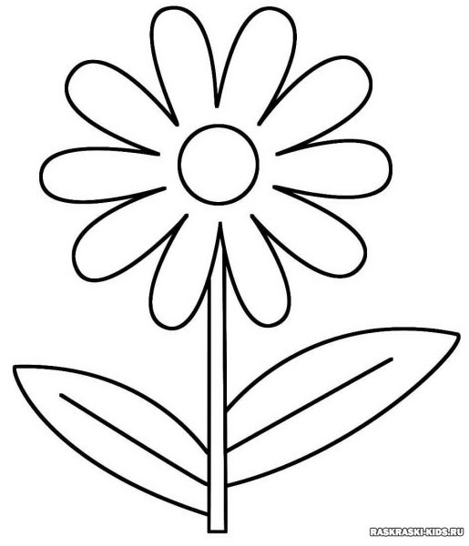 Ромашка раскраска для детей