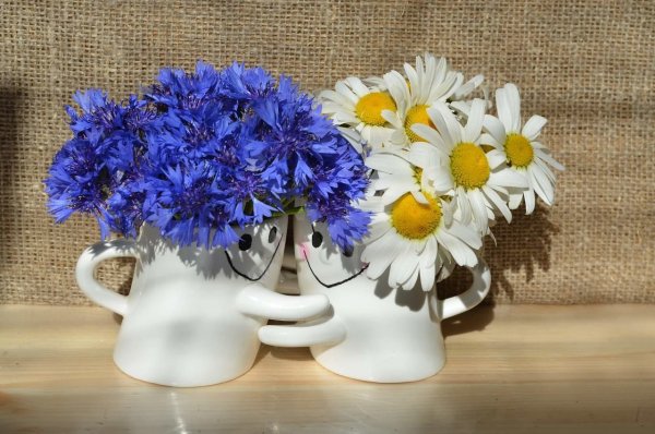 Доброе утро пионы