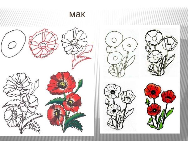 Схемы рисования цветов