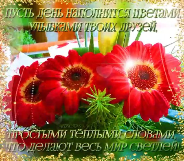 Цветы с добрыми пожеланиями