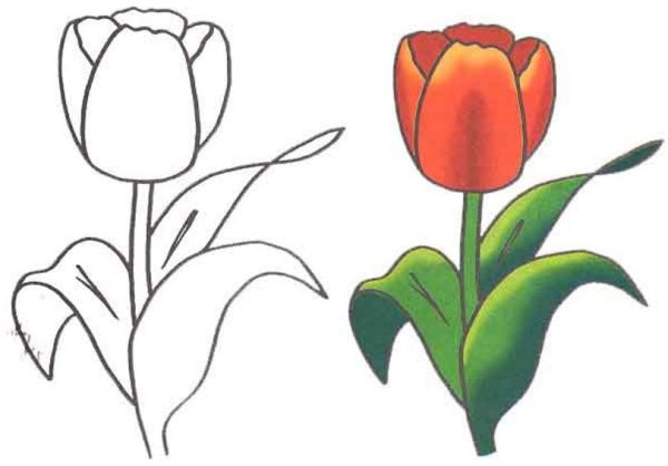Рисование цветов для детей