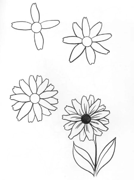 Поэтапное рисование цветов