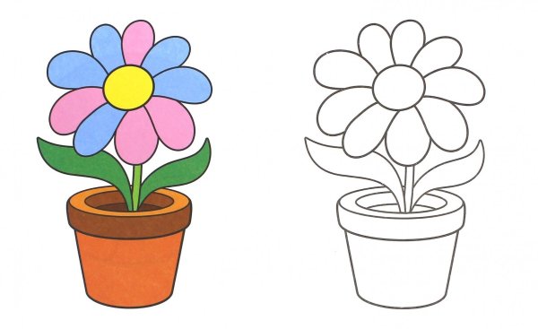 Цветы для рисования детям