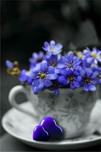 Доброе утро в голубых тонах