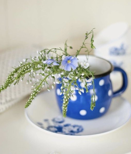 Уютные синие летние цветы