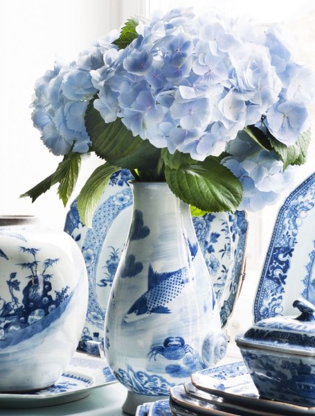 Голубые цветы в вазе