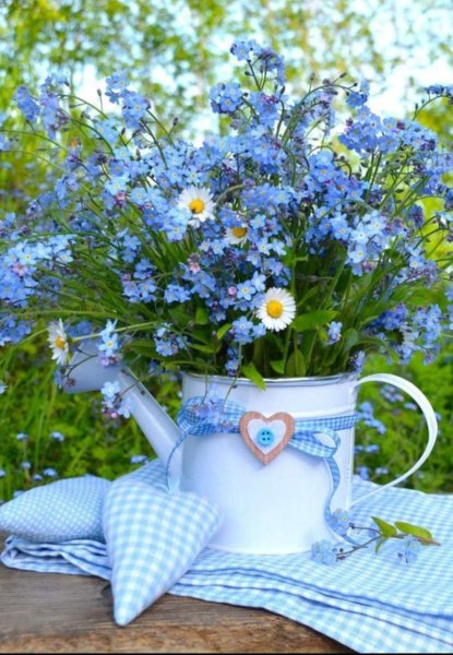 Добрый день с незабудками