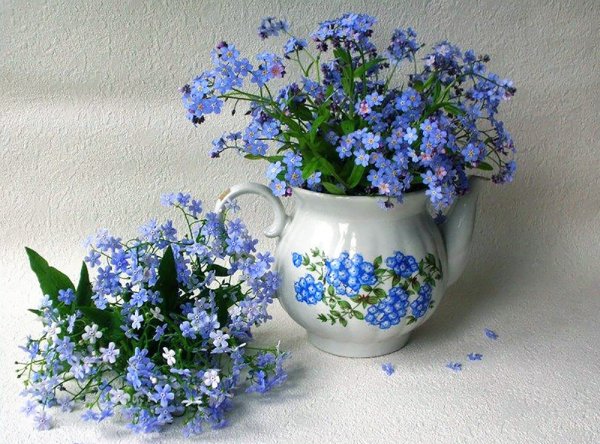 Букет незабудок в чашке