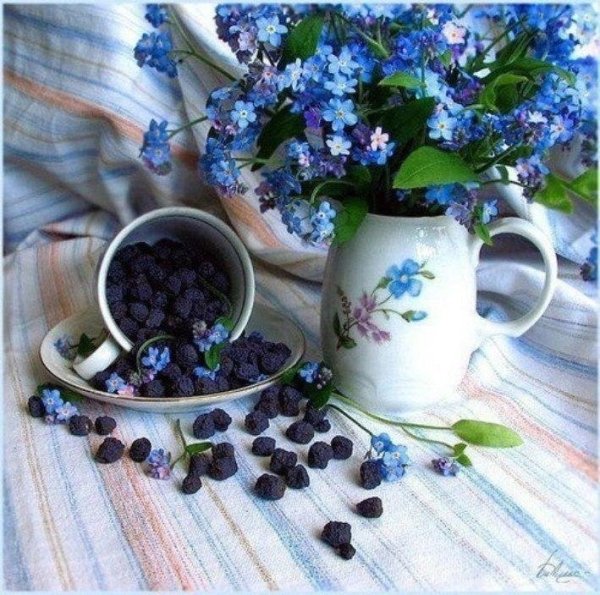 Чашечка кофе с незабудками