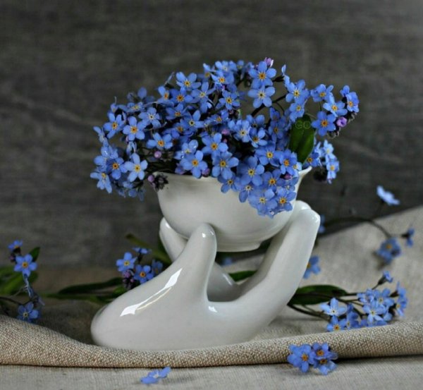 Доброе утро незабудки