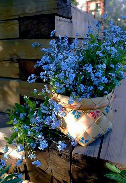 Ольга Незабудкина