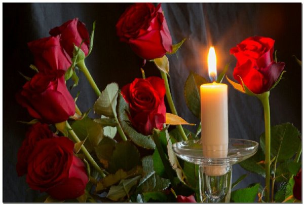 Траурные цветы