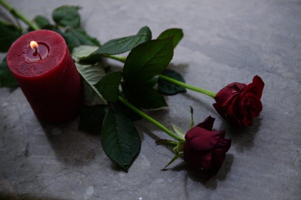 Цветы памяти