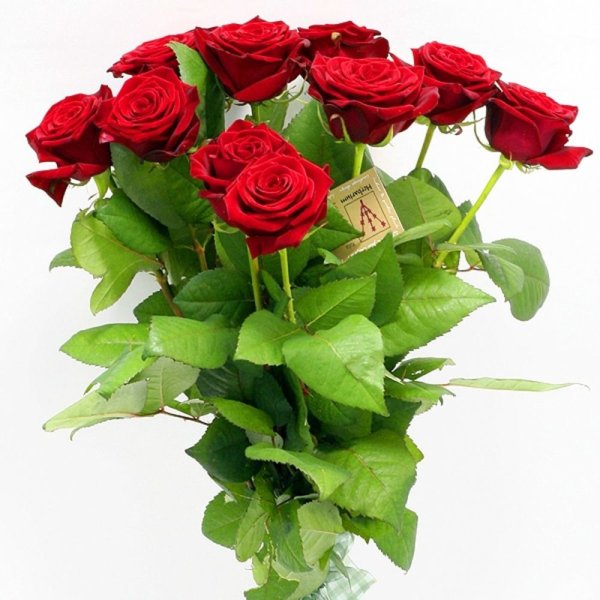 Цветы для роскошной женщины