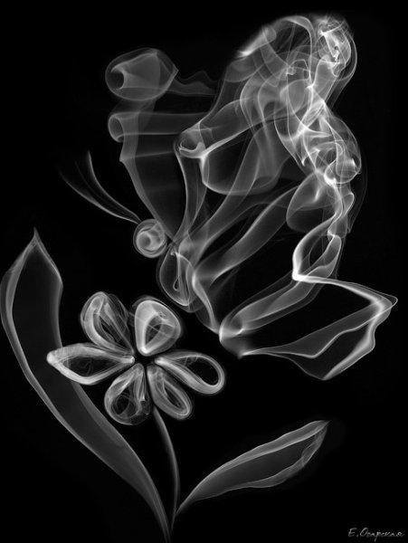 Бабочка из дыма