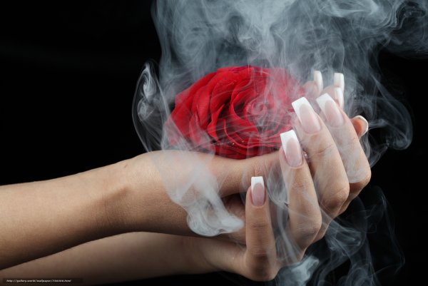 Цветы в дыму