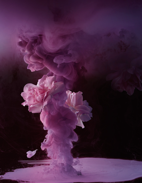 Розовый дым