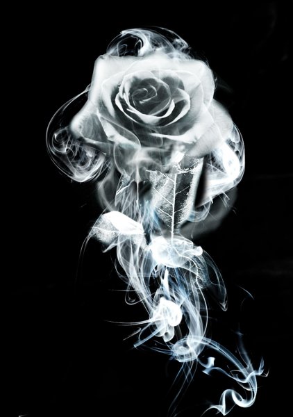 Красивый дым