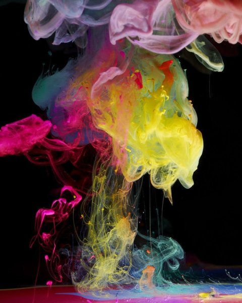 Черная роза в дыму