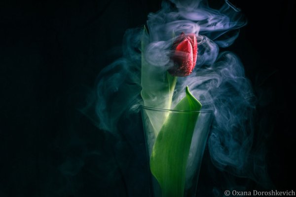 Разноцветный дым