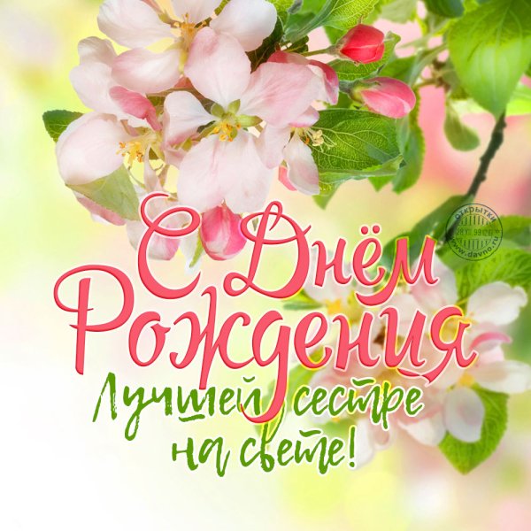 Открытки с днем рождения белые розы